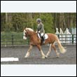 durdress22_0768