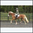 durdress22_0769