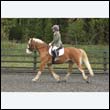 durdress22_0770