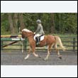 durdress22_0771