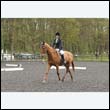 durdress22_0772