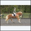 durdress22_0774