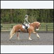 durdress22_0775