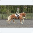 durdress22_0776