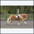 durdress22_0777