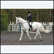 durdress22_0779
