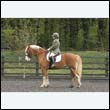 durdress22_0780