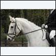 durdress22_0781