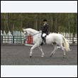 durdress22_0782