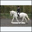 durdress22_0784