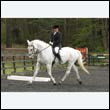 durdress22_0785