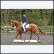 durdress22_0786