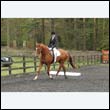 durdress22_0787
