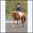 durdress22_0790