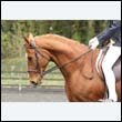 durdress22_0792