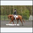 durdress22_0793