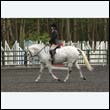 durdress22_0796