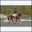 durdress22_0800