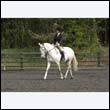 durdress22_0802