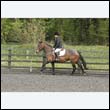durdress22_0814