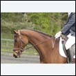 durdress22_0834