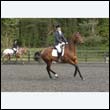 durdress22_0837