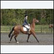 durdress22_0838