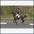 durdress22_0840