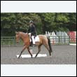 durdress23_0009