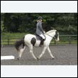 durdress23_0041