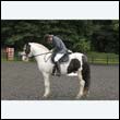 durdress23_0051