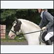durdress23_0052
