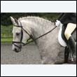 durdress23_0055