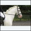 durdress23_0071