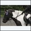 durdress23_0077