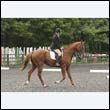 durdress23_0095