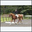 durdress23_0098