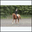 durdress23_0100