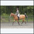 durdress23_0117