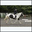 durdress23_0133