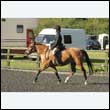 durdress24_0003