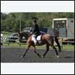 durdress24_0011
