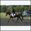 durdress24_0013