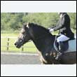 durdress24_0018