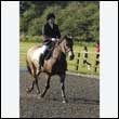 durdress24_0021
