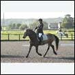 durdress24_0022