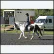 durdress24_0050