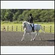 durdress24_0058