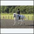 durdress24_0059