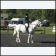 durdress24_0063
